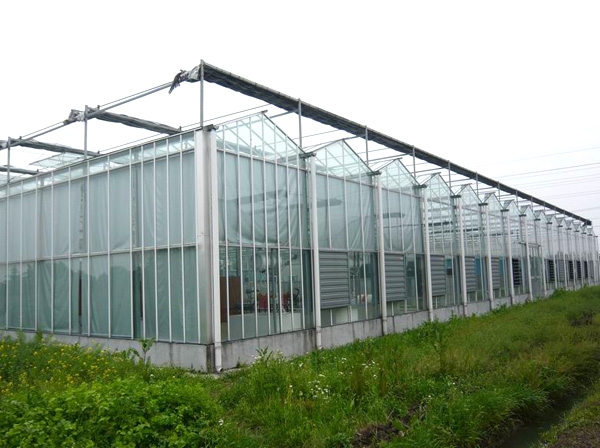 阳光板温室
