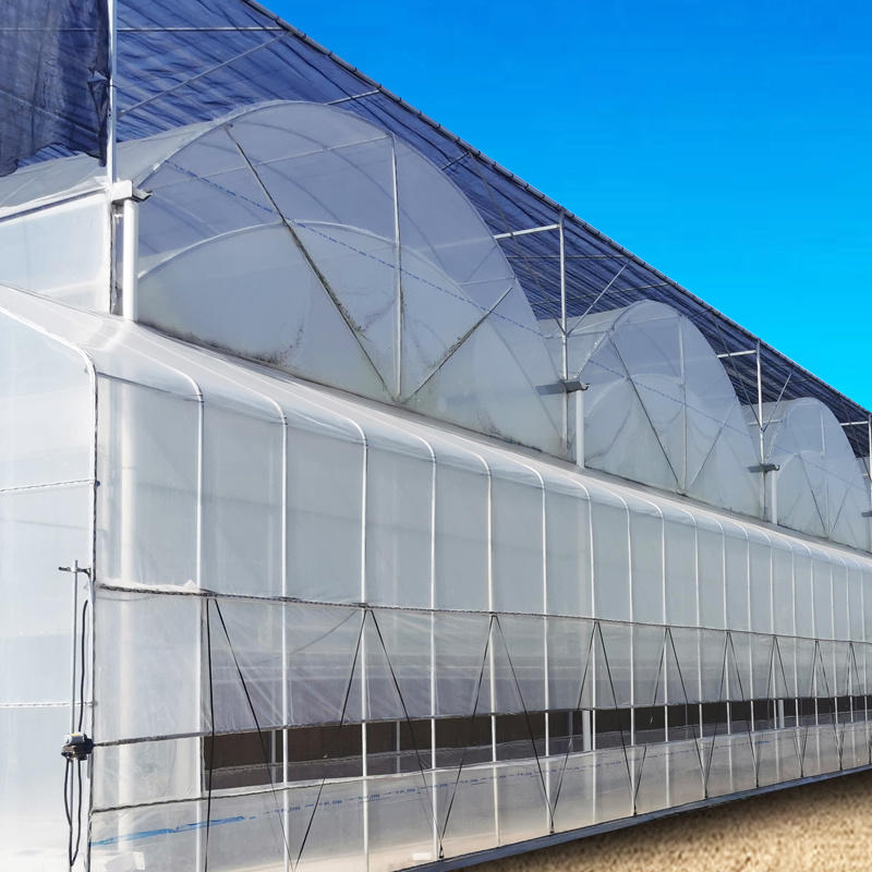 连栋薄膜温室