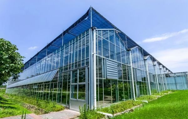 玻璃温室的特点有哪些呢？