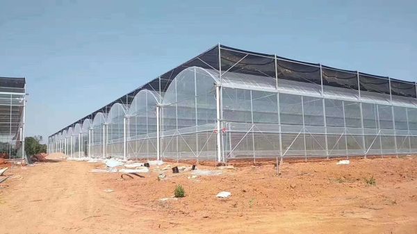 连栋玻璃温室顶部覆盖材料