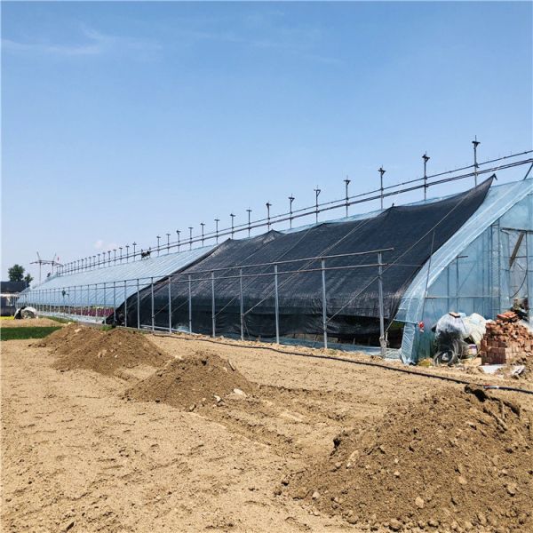 温室大棚的好处